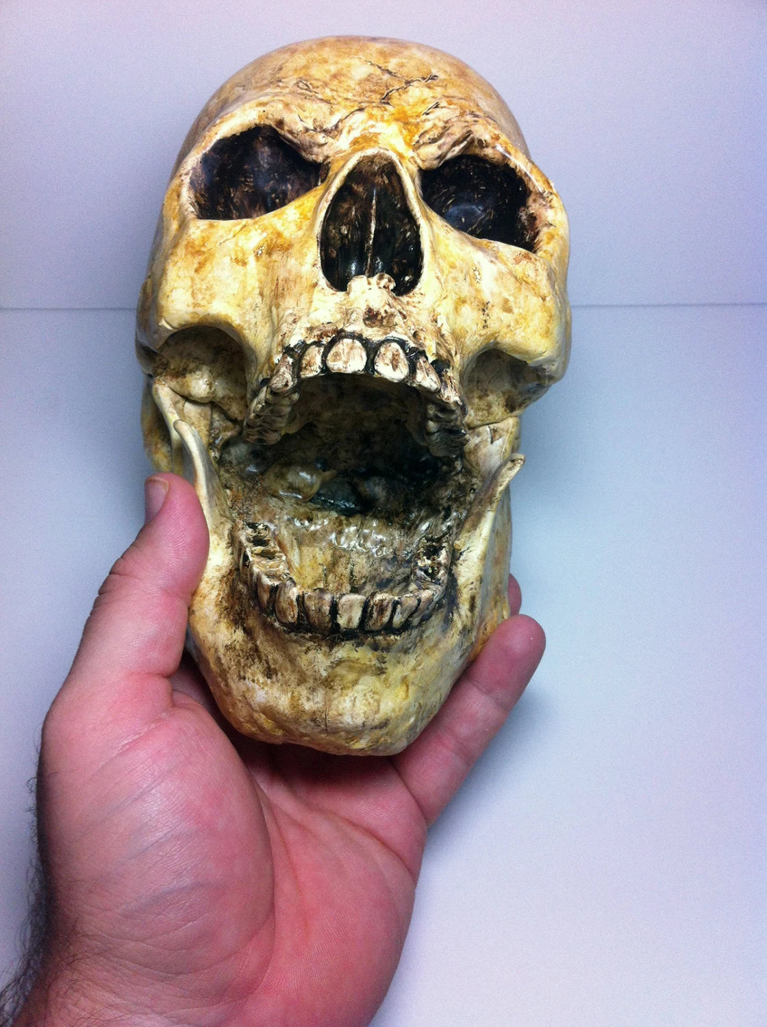 Aztec Death Whistle - the Human Skull