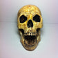 Aztec Death Whistle - the Human Skull