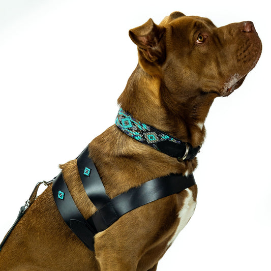 Aztec Leather Dog Harness